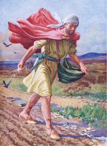 Il seminatore, da The Bible Picture Book pubblicato da Thomas Nelson, c.1950 (litografia a colori) da English School