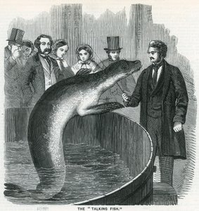 Il pesce parlante