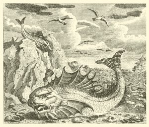 Il tonno e il delfino (incisione) da English School