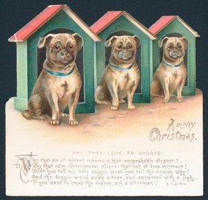 Tre cani nei canili, Cartolina di Natale da English School