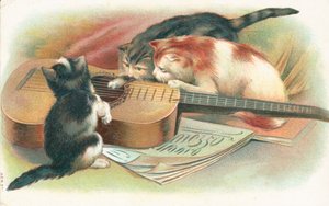 Tre gatti che giocano con una chitarra acustica