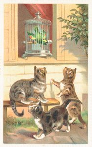 Tre gatti seduti sotto una finestra da English School