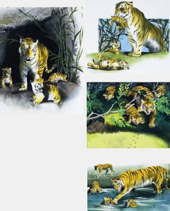 Tigre e cuccioli da English School