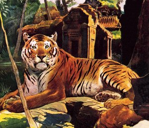 Tigre nelle rovine