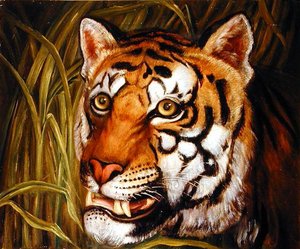 Tigre, tigre che brucia luminosa...