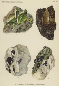 Titano-silicati, niobati, sfene, columbite, perovskite (litografia a colori) da English School