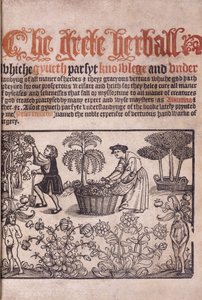 Pagina del titolo che illustra una scena di giardino con figure, 1529 da English School