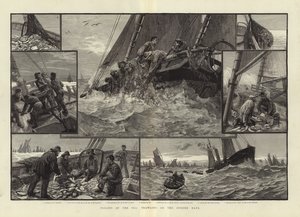 Lavoratori del mare che pescano sul Dogger Bank da English School