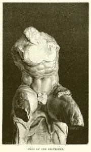 Torso del Belvedere da English School