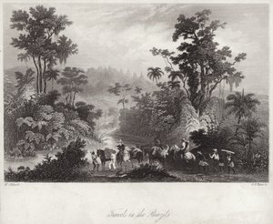 Viaggi in Brasile