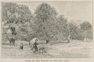Alberi al margine della nuova terra da English School