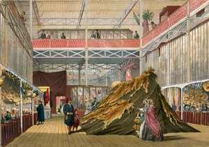 Tunisia, No 1, Grande Esposizione, 1851 da English School