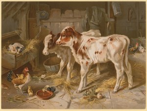Due vitelli