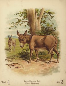 Due asini (cromolito)