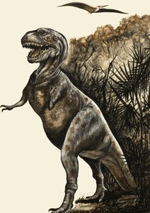Tyrannosaurus Rex da English School