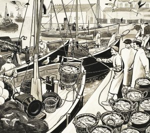 Porto di pesca non identificato con pesci sul molo da English School