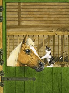 Cavallo non identificato e gattino giocoso da English School