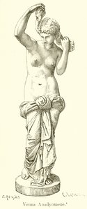 Venere Anadiomene da English School