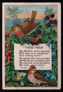Versi, bacche e uccelli, cartolina di auguri di Capodanno da English School
