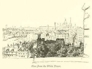 Vista dalla Torre Bianca