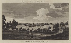 Vista di Chertsey, Surrey (incisione)