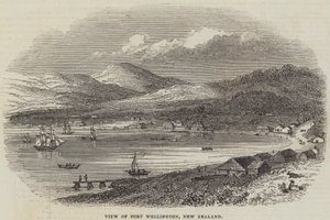 Veduta di Port Wellington, Nuova Zelanda da English School