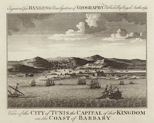 Veduta della città di Tunisi da English School