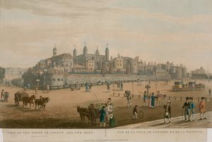 Vista della Torre di Londra e della Zecca