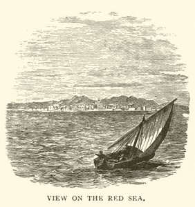Veduta sul Mar Rosso