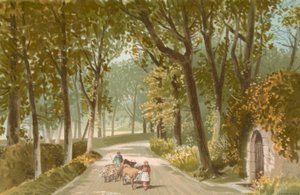 Vinchelez Lane--Jersey da English School
