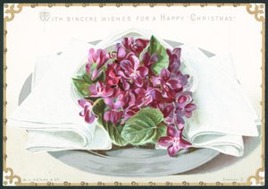 Violette da English School
