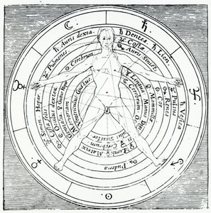 Figura vitruviana, da 
