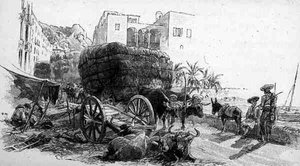Carri con erba di esparto, Almeria, Spagna, da 