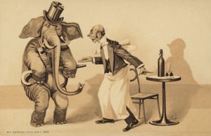 Cameriere serve un elefante da English School