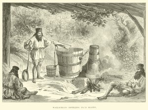 Valacchi che distillano brandy di prugne da English School