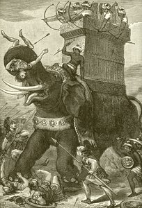 Elefante da guerra nell