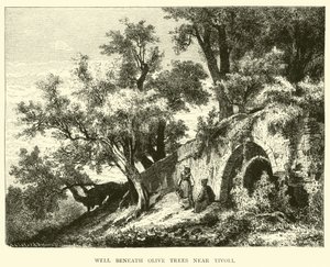 Pozzo sotto gli ulivi vicino a Tivoli