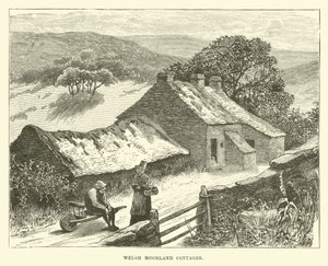 Cottage della brughiera gallese