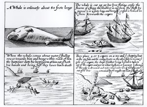 Caccia alla balena a Spitzbergen nel 1611
