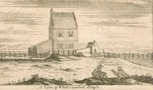 White Conduit House, Islington, Londra