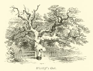 La Quercia di Wickliff da English School