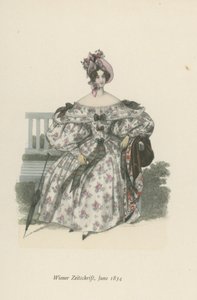 Wiener Zeitschrift, giugno 1834