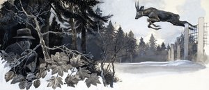 Cervo selvatico che si mette in salvo