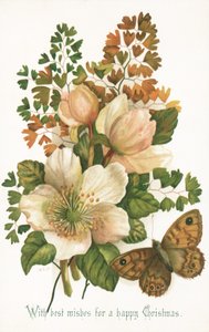 Rose Selvatiche e Farfalla, Cartolina di Natale da English School