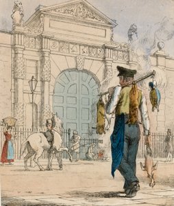 Anatra selvatica, coniglio e pollame
