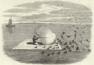 Caccia alle anatre selvatiche sul Potomac