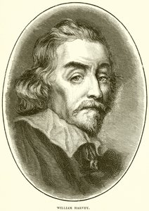 William Harvey da English School