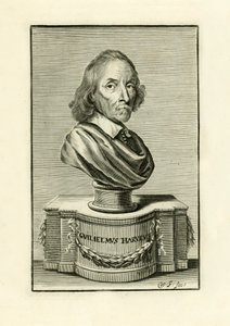 William Harvey da English School