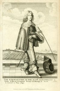 Guglielmo d