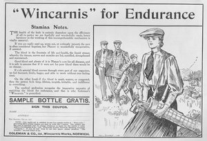 Wincarnis per la resistenza, pubblicità da The Graphic, 27 ottobre 1906 da English School